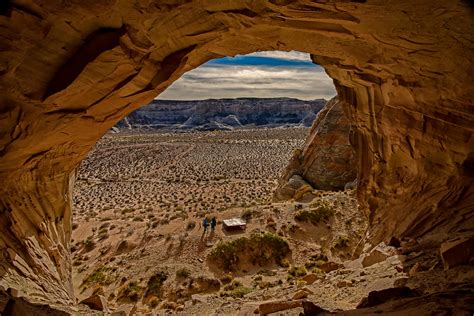  オキナワヒメオオヤモリ、洞窟に住む神秘的な生き物！