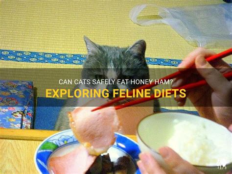 Can Cats Eat Honey Ham? Exploring Feline Diets and Human Foods