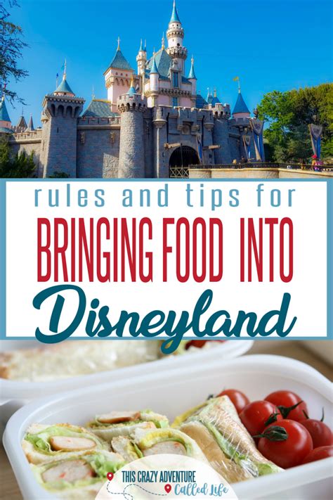 Can I Take Food to Disneyland? Exploring the Culinary Possibilities and Park Policies