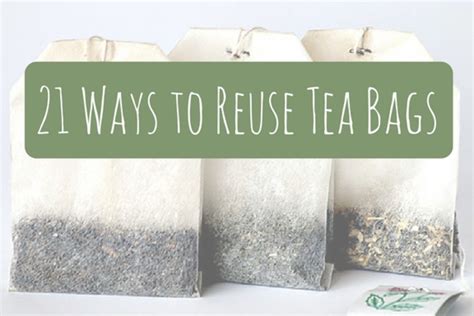 Can You Use Tea Bags After Expiration Date? Exploring the Myths and Realities