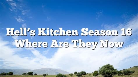 Hell's Kitchen Season 16: Where Are They Now? A Culinary Journey Through Time and Space