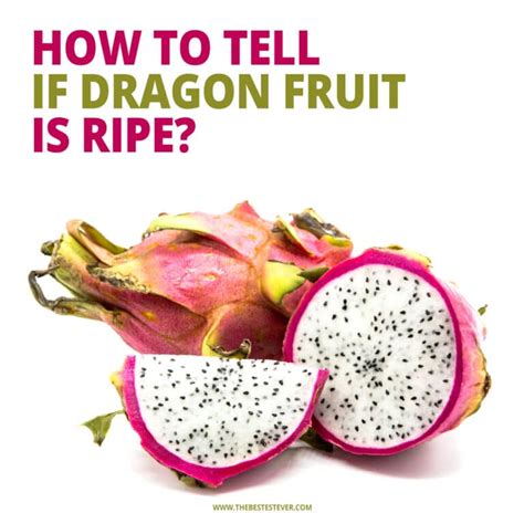 How Do You Tell If a Dragon Fruit Is Ripe? And Why Do They Taste Like Rainbows?