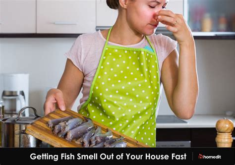 How to Get Cooked Food Smell Out of House: Why Does My Living Room Smell Like a Seafood Buffet?