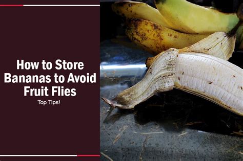 How to Store Bananas to Prevent Fruit Flies: A Comprehensive Guide