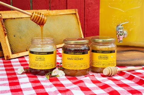 What is Pasteurized Honey? A Sweet Debate on Nature's Nectar