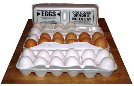 Why Are Grade B Eggs Rarely Seen in Food Stores? And Why Do They Taste Like Rainbows?