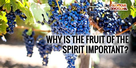 Why is the Fruit of the Spirit Important: Because Bananas Can't Teach You Patience