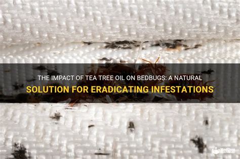 Will Tea Tree Oil Kill Bed Bugs: A Myth or a Miracle Cure?